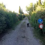 Stalla Lunga Nyaraló Magliano in Toscana