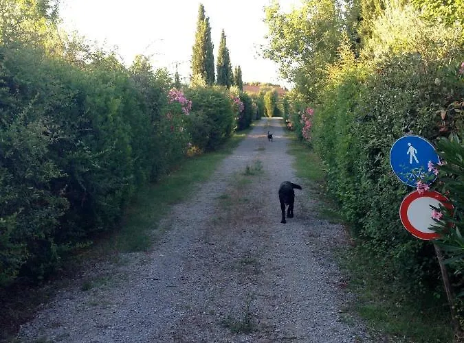 Stalla Lunga Holiday home Magliano in Toscana