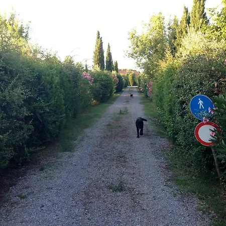Stalla Lunga Hébergement de vacances Magliano in Toscana